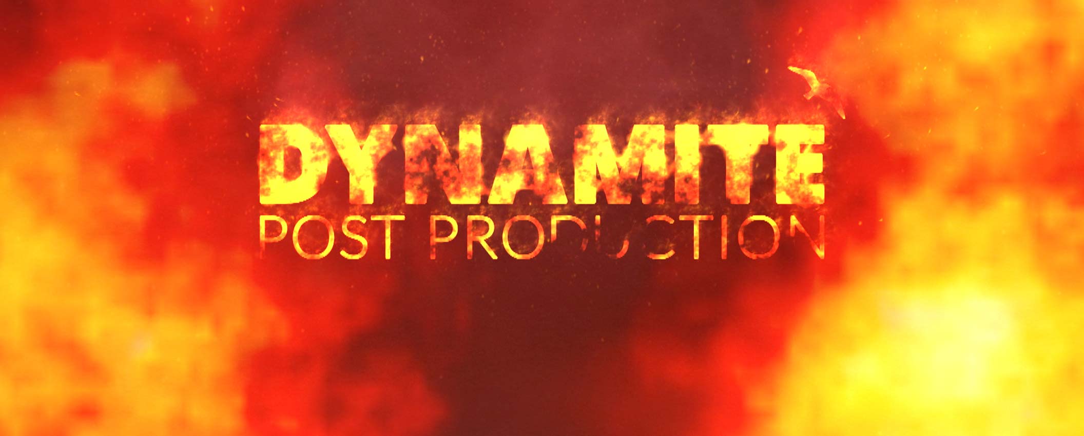 Dynamite Pictures website